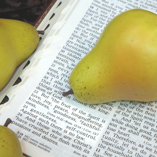 fruit of the Spirit bible study